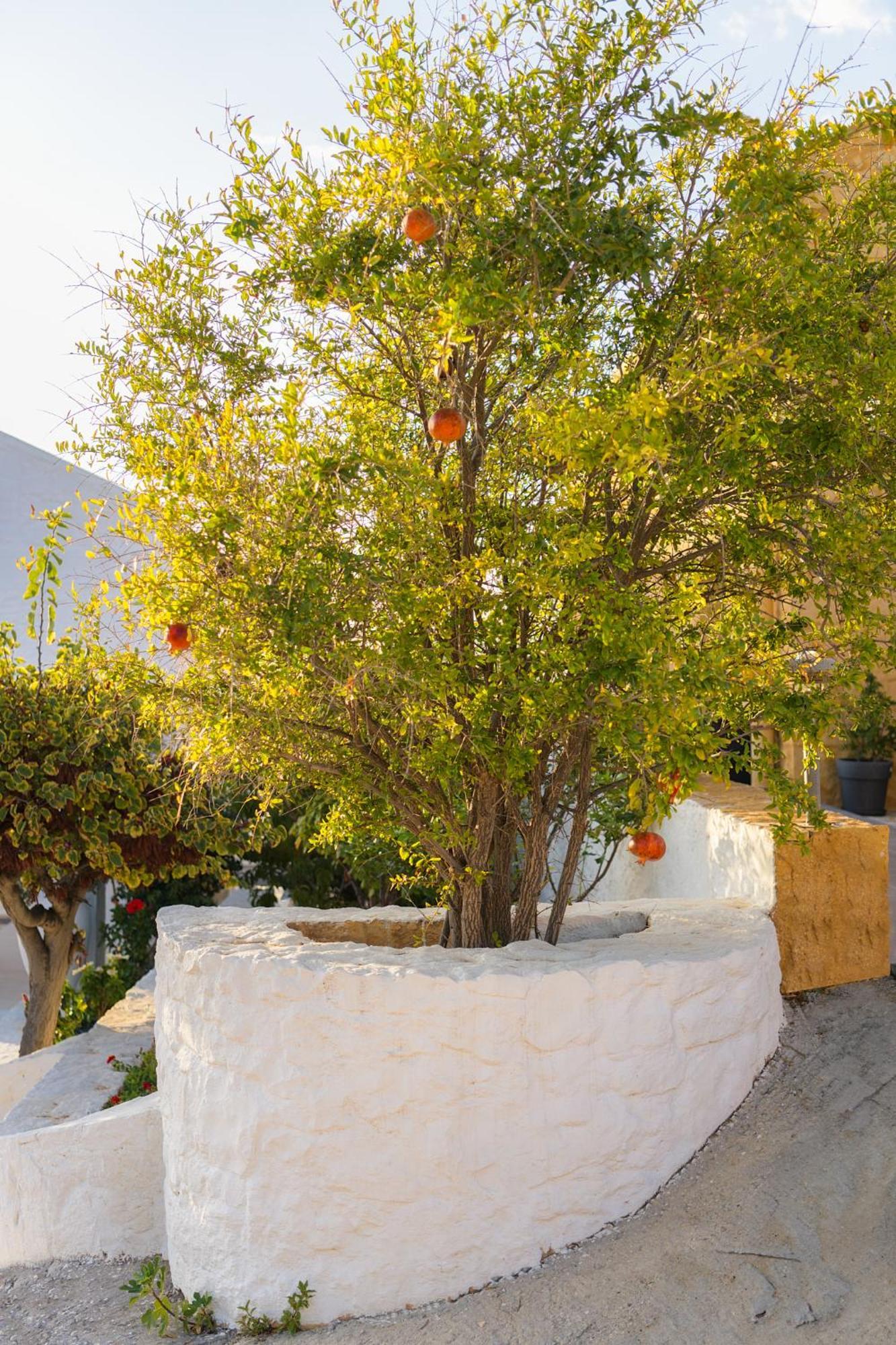 קאלאתאס Villa Anton By Cura Villas Collection מראה חיצוני תמונה